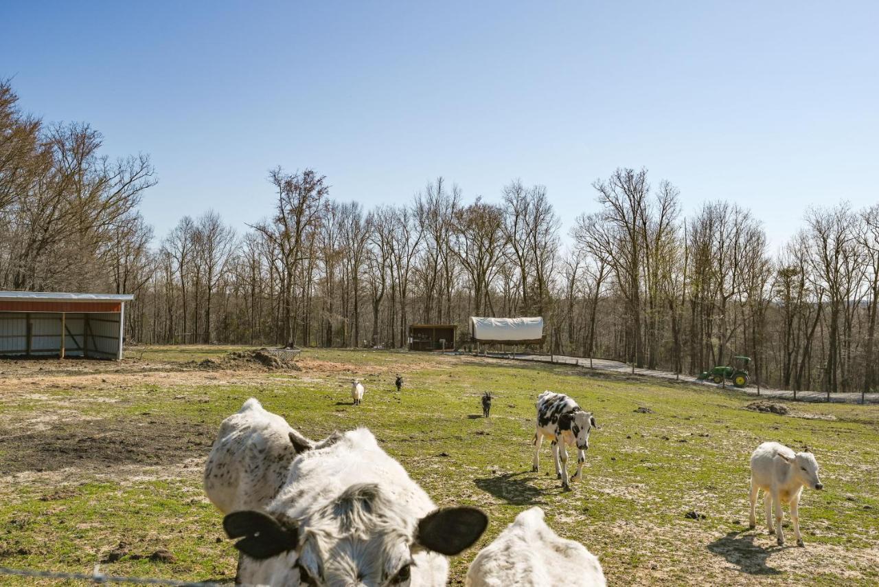 Ultimate Covered Wagon Pioneers Paradise Brownsville Exteriér fotografie